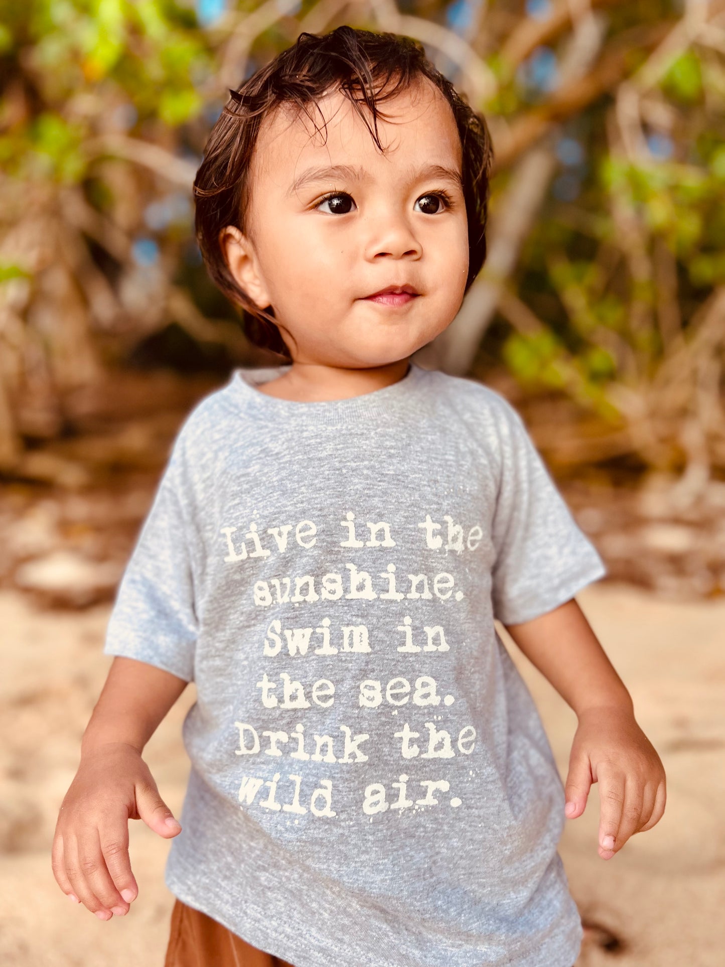 Live in the Sunshine Toddler t-shirt