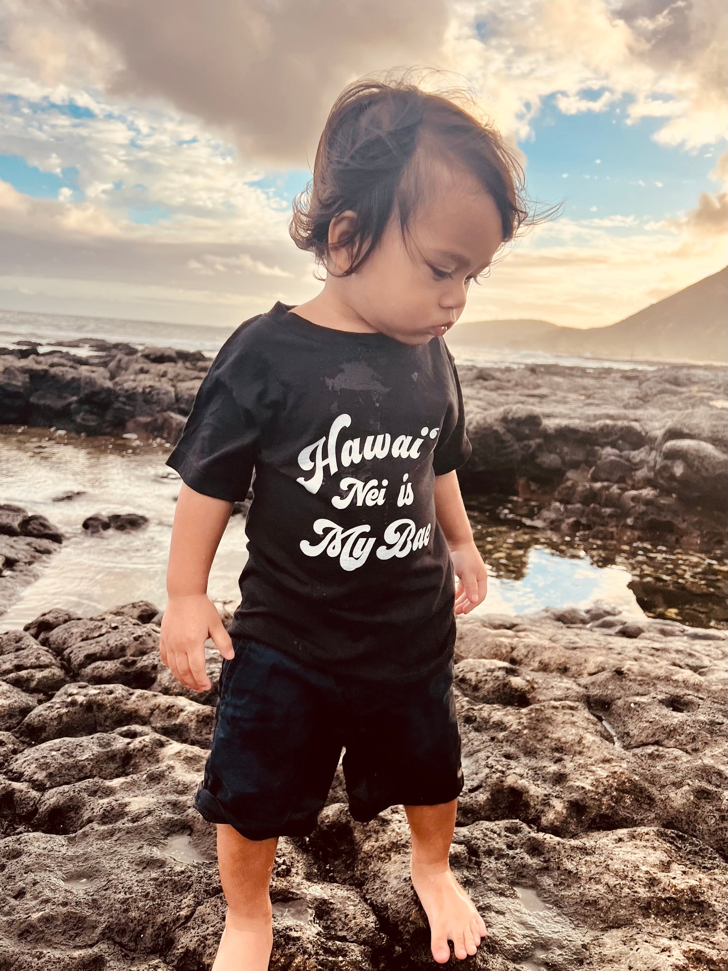 Hawaii Nei Toddler T-shirt